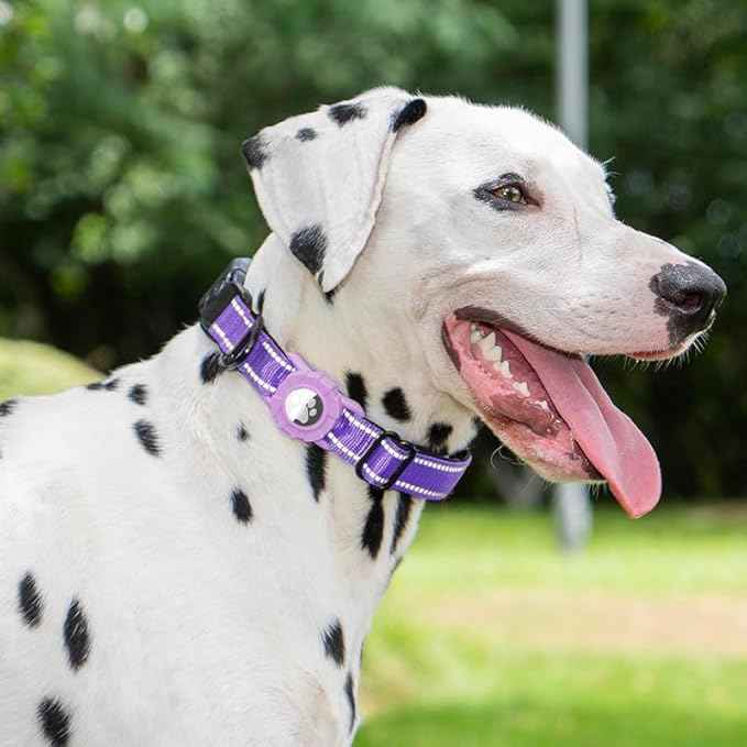JSXD AirTag Dog Collar, Night Reflective Nylon Dog Collar for Small Medium Large Dogs,Lockable Quick Release Buckle,Padded Breathable Pet Collar with AirTag Holder (Purple, Small(9.4"-12.6"))