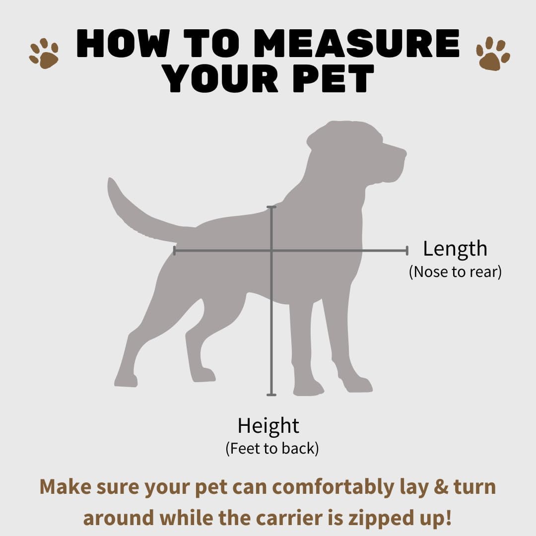 SturdiBag Pro 2.0 Pet Travel Carrier with Flexible Height for Cats and Dogs | Soft Sided Pet Carrier Bag with Safety Clips and Seatbelt Straps for Airplane or Car Travel | Medium, Smoke