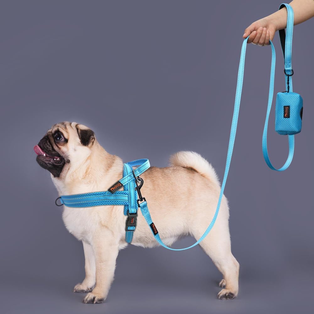 Didog No Pull Dog Harness with Soft Mesh Padded,Reflective & Quick Fit Light Weight Dog Strap Vest Harness,Easy for Walking Training (XS:Chest 15-18", Mesh-Blue) - Pawvie