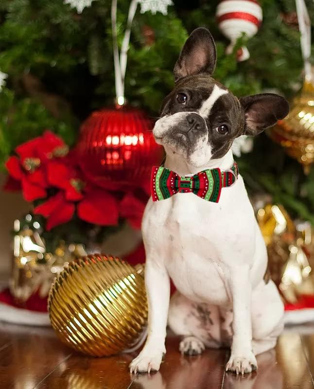 Lionet Paws Christmas Dog Collar with Bowtie, Dog Bowtie Collar with Metal Buckle for Dogs, Adjustable Comfortable Dog Collar Girl Boy Gift, XL, Neck 16-26 in