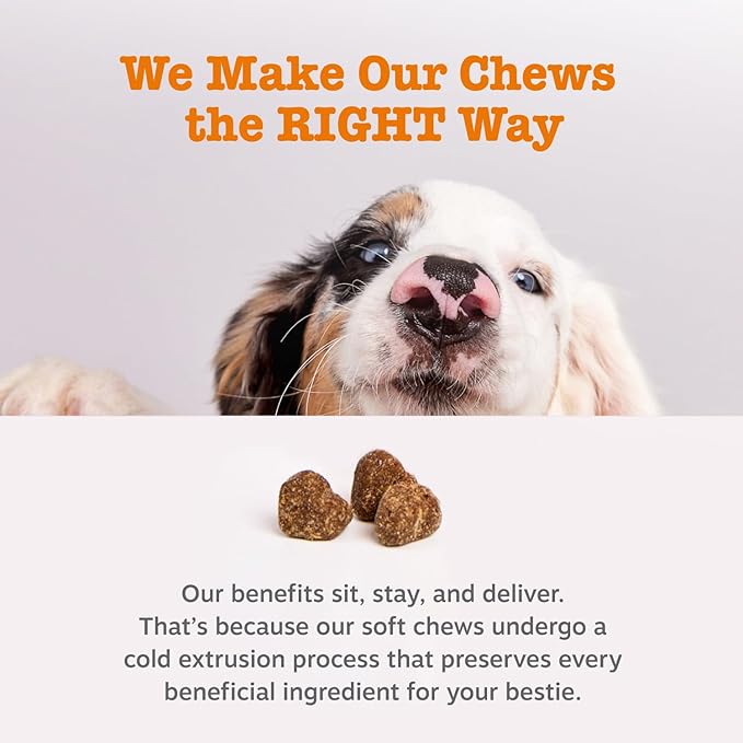 Zesty Paws Dog Allergy Relief Chews, Dog Probiotics for Itchy Skin and Ears, Lamb, 50ct (Pack of 2)