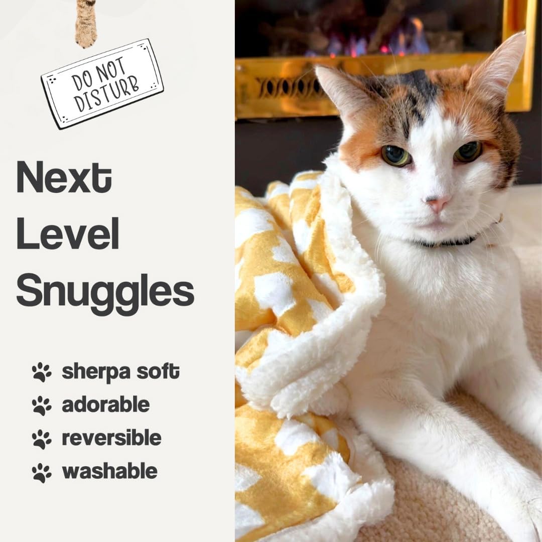 Cat Blanket for Indoor Cats – 29" Soft Sherpa Fleece Pet Throw, Washable Reversible Dog Blanket for Small Dogs, Cats, Kittens, Couch Bed Sofa Car Protector – Sage