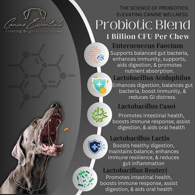 Probiotics for Dogs – Duck Flavour – Approx. 90 Chews, 8 oz – Digestive & Immune Support Supplement – Human-Grade Ingredients – Supports Animals in Need