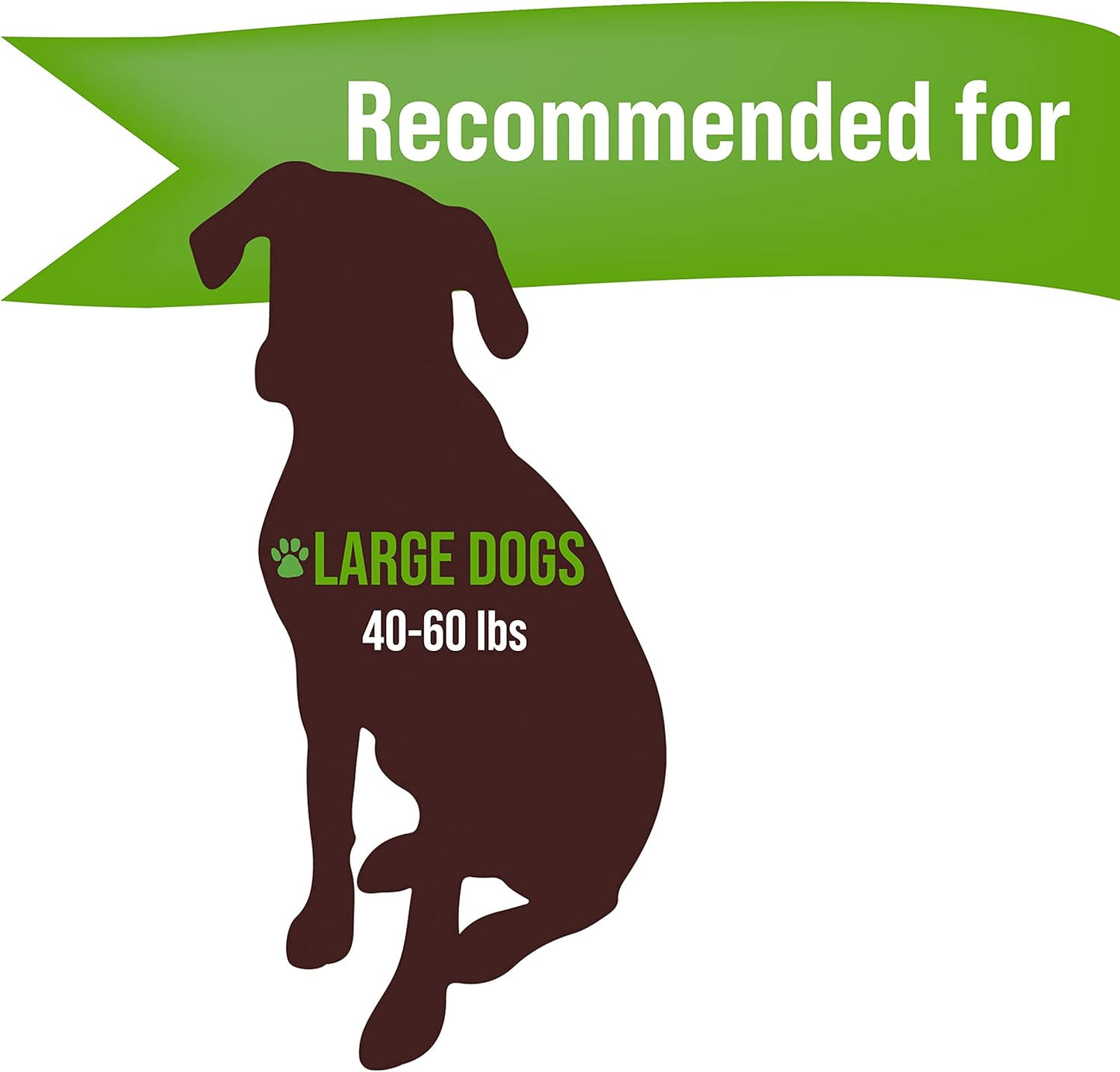 Buck Bone Organics Dog Chews, Elk Antlers for Dogs, Long Lasting Dog Bones for Aggressive Chewers, All Natural, No Preservatives, Wild Shed in The USA (Large)