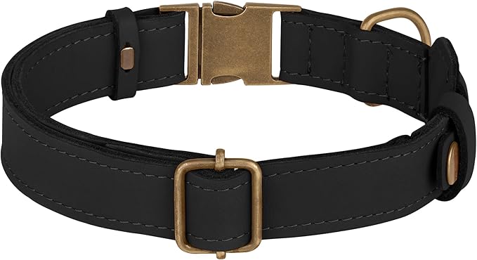 AirTag Dog Collar - Genuine Leather Dog Collar with Apple AirTag Holder and Metal Buckle - Smart GPS Tracking Pet Collars (Black, M, 14"-18" Neck Fit)