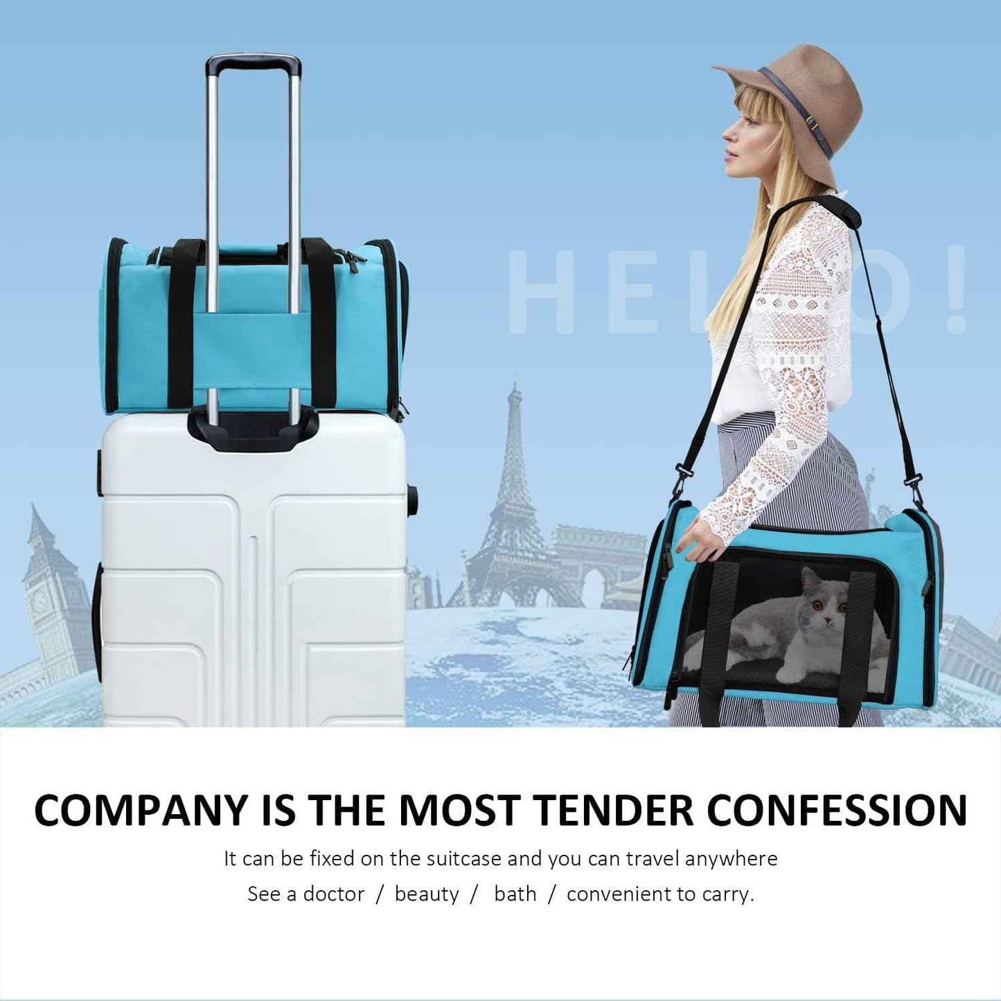 Pet Carrier for Small Medium Cats Puppies up to 15 Lbs, Airline Approved Small Dog Travel Puppy Carrier Soft Sided, Collapsible - Blue