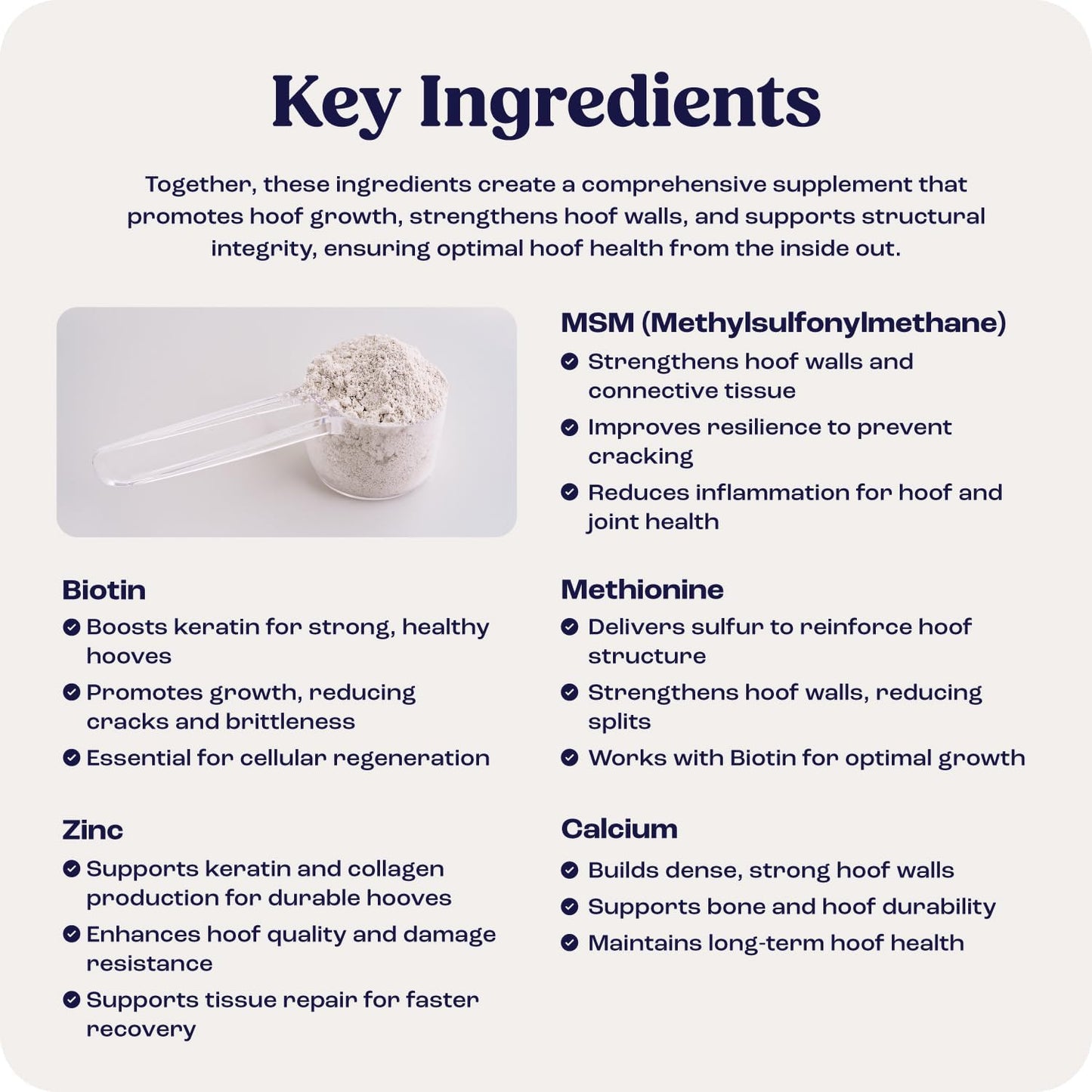 Summit Equine Hoof Strength Powder for Horses, Promotes Healthy Hooves with Biotin, Amino Acids, and Minerals, Horse Hoof Supplement,11 oz, 30-Day Supply