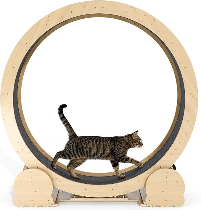 Cat Wheel for Indoor Cats, 46" Large Cat Exercise Wheel with Detachable Carpet, Silent Cat Treadmill with Safety Lock for Small & Adult Cats, Quiet for Nighttime Use, Natural Wood Color