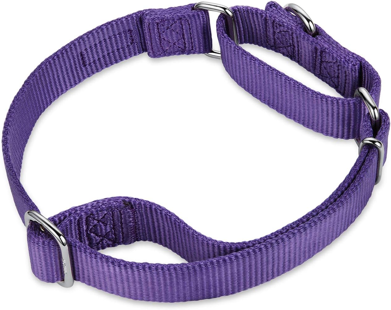 Hyhug Pets Premium Upgraded Heavy Duty Nylon Anti-Escape Martingale Collar for Boy and Girl Dogs Comfy and Safe - Professional Training, Daily Use Walking. (Medium, Ultra Violet)