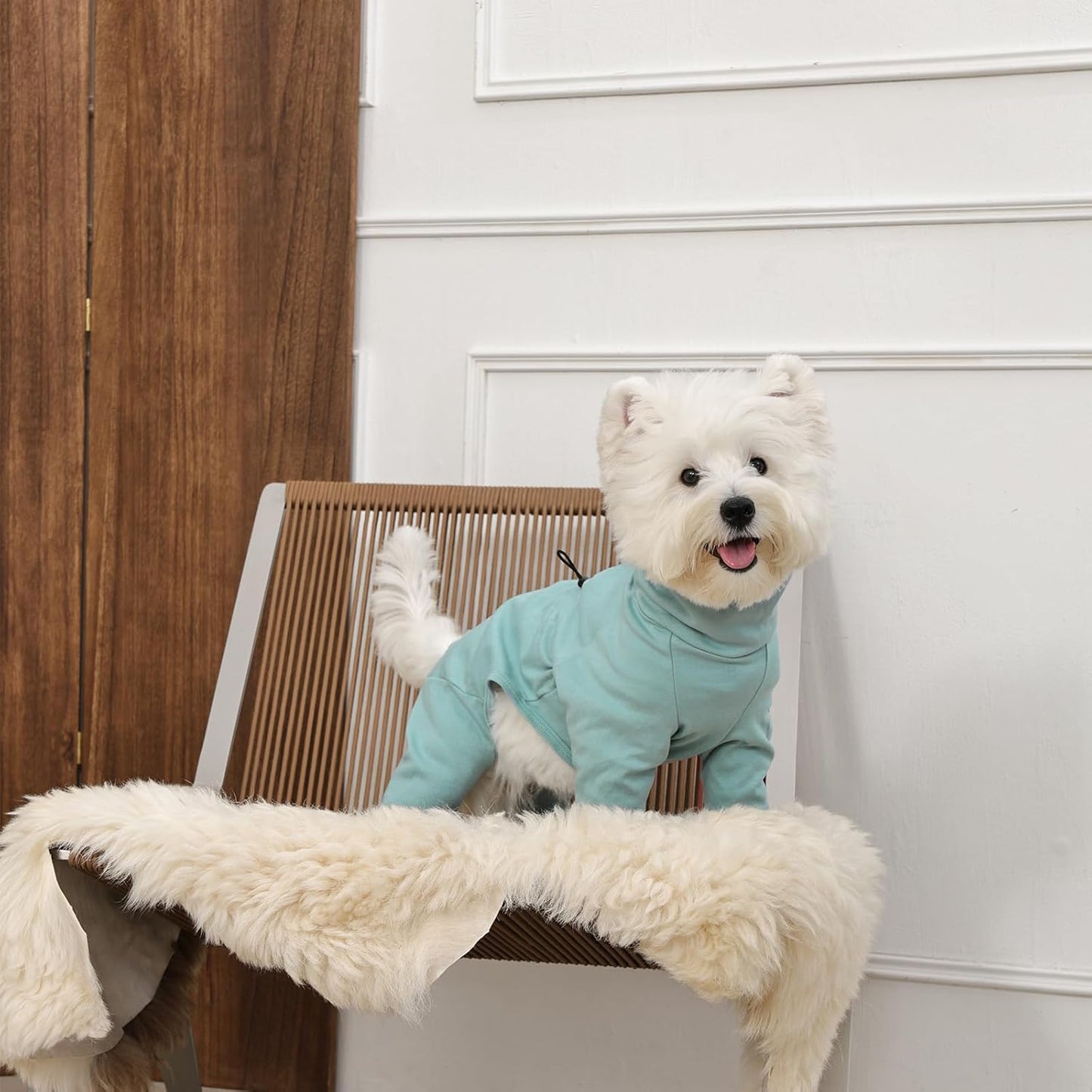 Dog Recovery Suit, Long Sleeve Dogs Pjs for Small Dogs, Easy On/Off Dog Onesies with Back Zipper, Adjustable Anti-Licking Wound Shedding Suits for Pets, Schnauzer, Dachshund, Green S