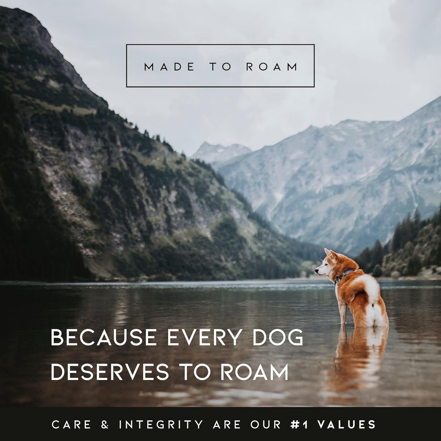 MADE TO ROAM Premium Explorer Harness - Y-Shaped Dog Harness with Adjustable Durable Nylon, Soft Padding, Metal Buckles and Leather Handle for Small, Medium, Large Dogs (Virginia Mountains, Size 4)