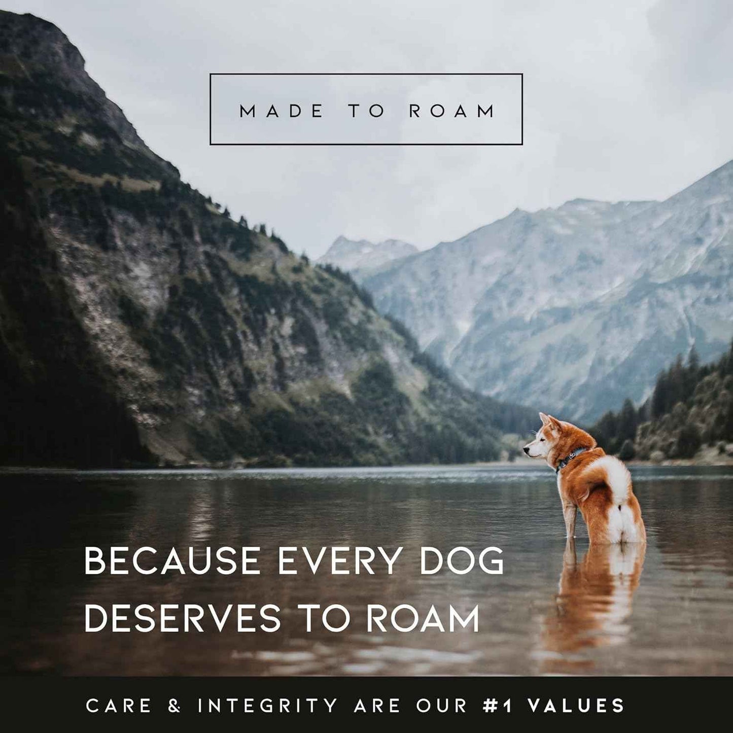 MADE TO ROAM Premium Explorer Harness - Y-Shaped Dog Harness with Adjustable Durable Nylon, Soft Padding, Metal Buckles and Leather Handle for Small, Medium, Large Dogs (Maine Marina, Size 4)
