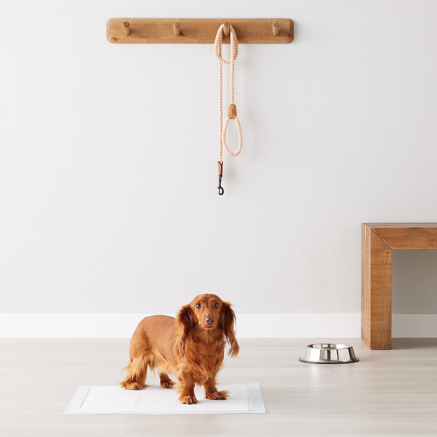 Amazon Basics Scented Dog and Puppy Pee Pads, 5-Layer Leak-Proof Super Absorbent, Quick-Dry Surface, Potty Training, Regular (22x22"), 50 Count, Blue & White