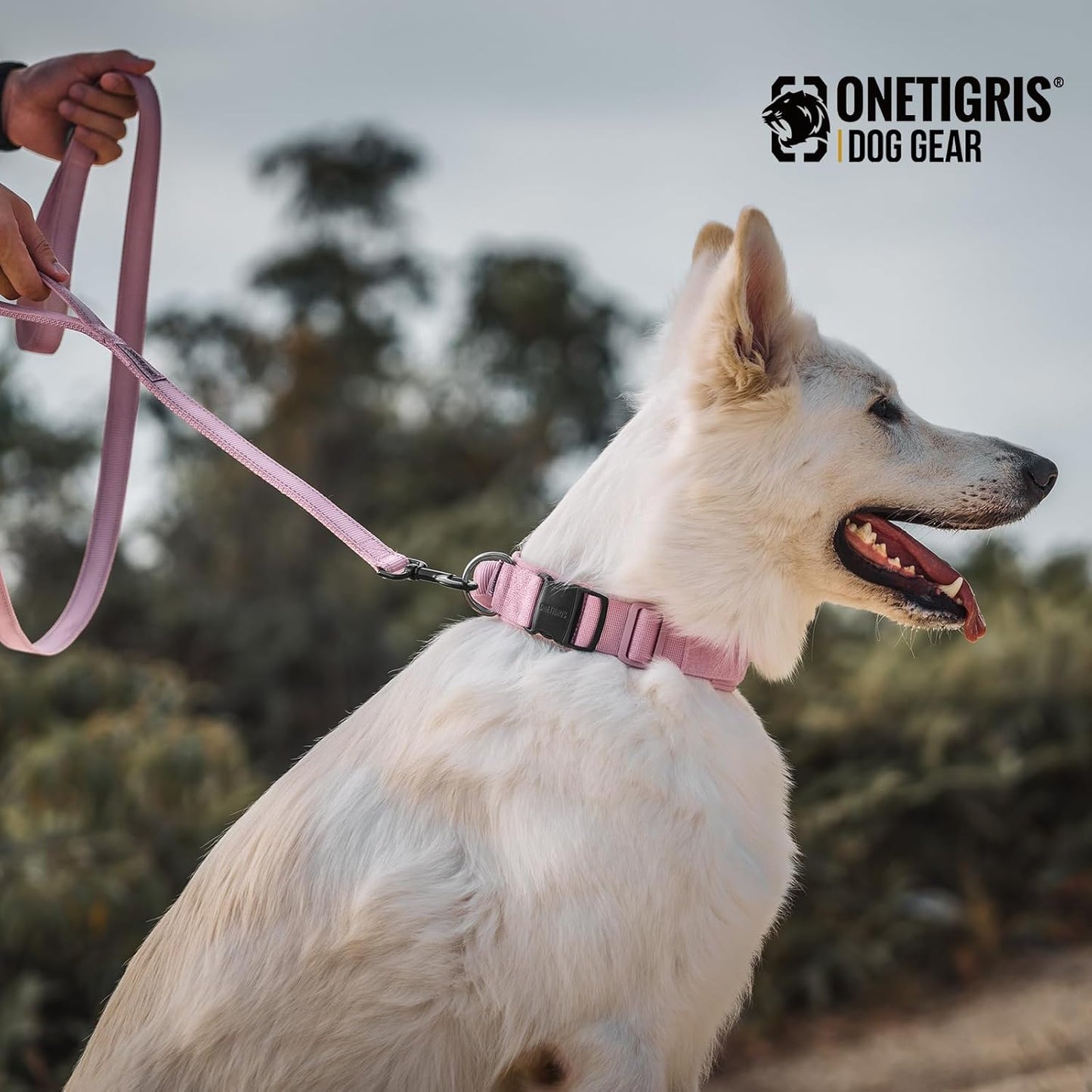 OneTigris Pink Dog Harness Leash Collar Set,Adjustable Dog Vest Harness for Walking Hiking Training(Medium)