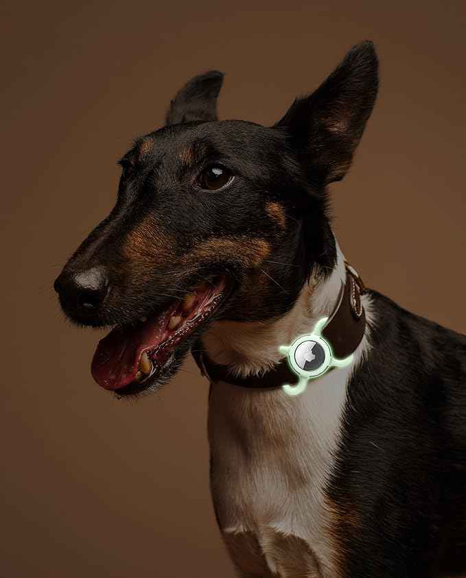 Waterproof Airtag Dog Collar Holder, Silicone & ABS Airtag Holder for Dog & Cat Collars, Ultra-Durable, Lightweight and Protective Airtag Case (Luminous, Large)