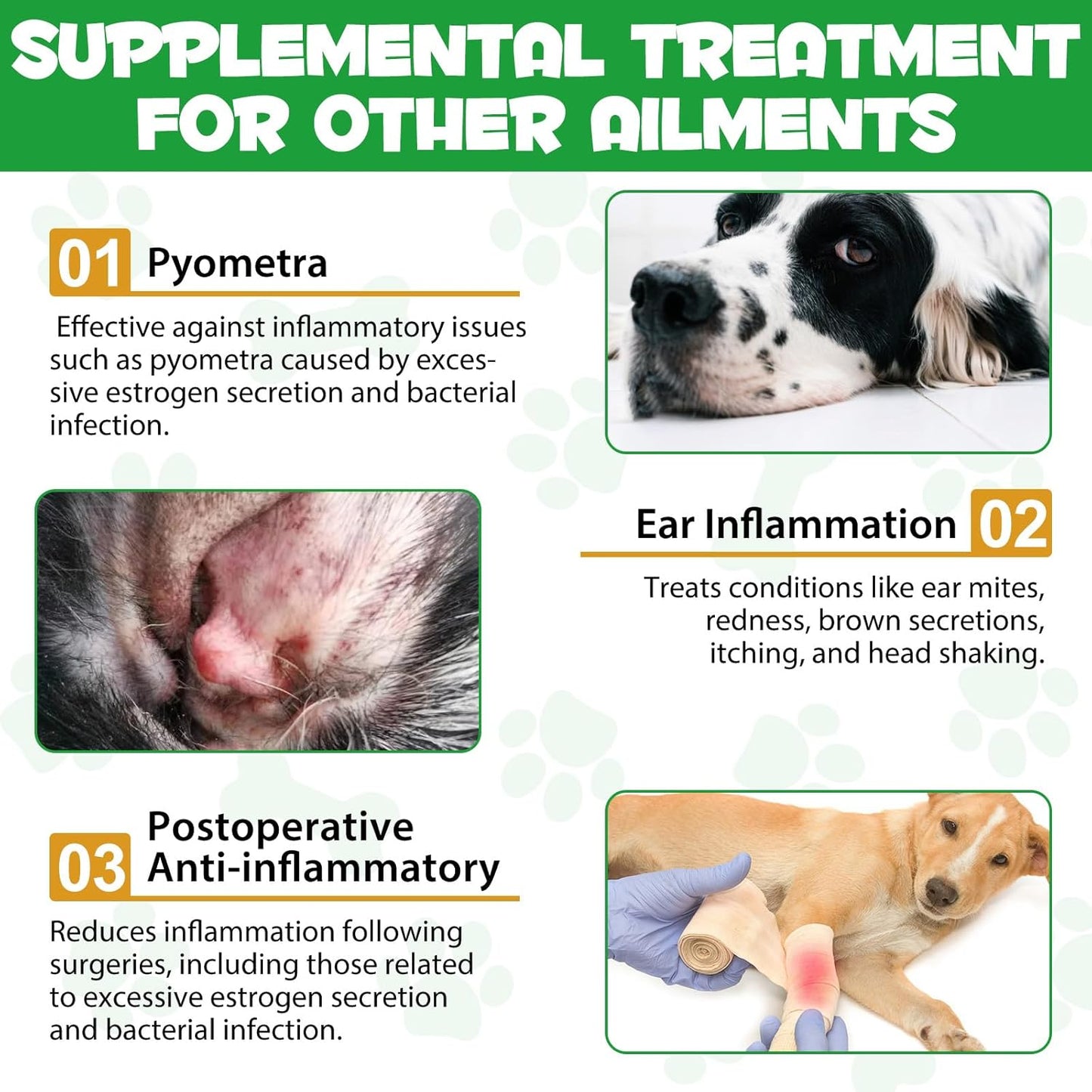 Natural Antibiotics for Dogs - Dog Antibiotics - Antibiotics for Dogs - Pet Antibiotics - Natural Antibiotics for Dogs - Organic Ingredients - Dog Multivitamin 60ml