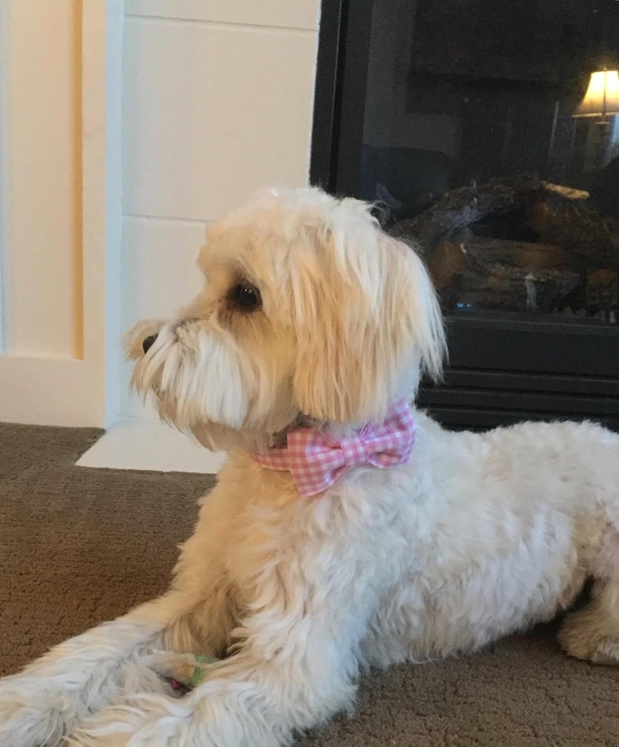 Lionet Paws Dog Collar with Bowtie, Comfortable Adjustable Cute Pink Gingham Bow Tie Collar for Female Puppies and Cats Gift, XXS, Neck 7-11 inches