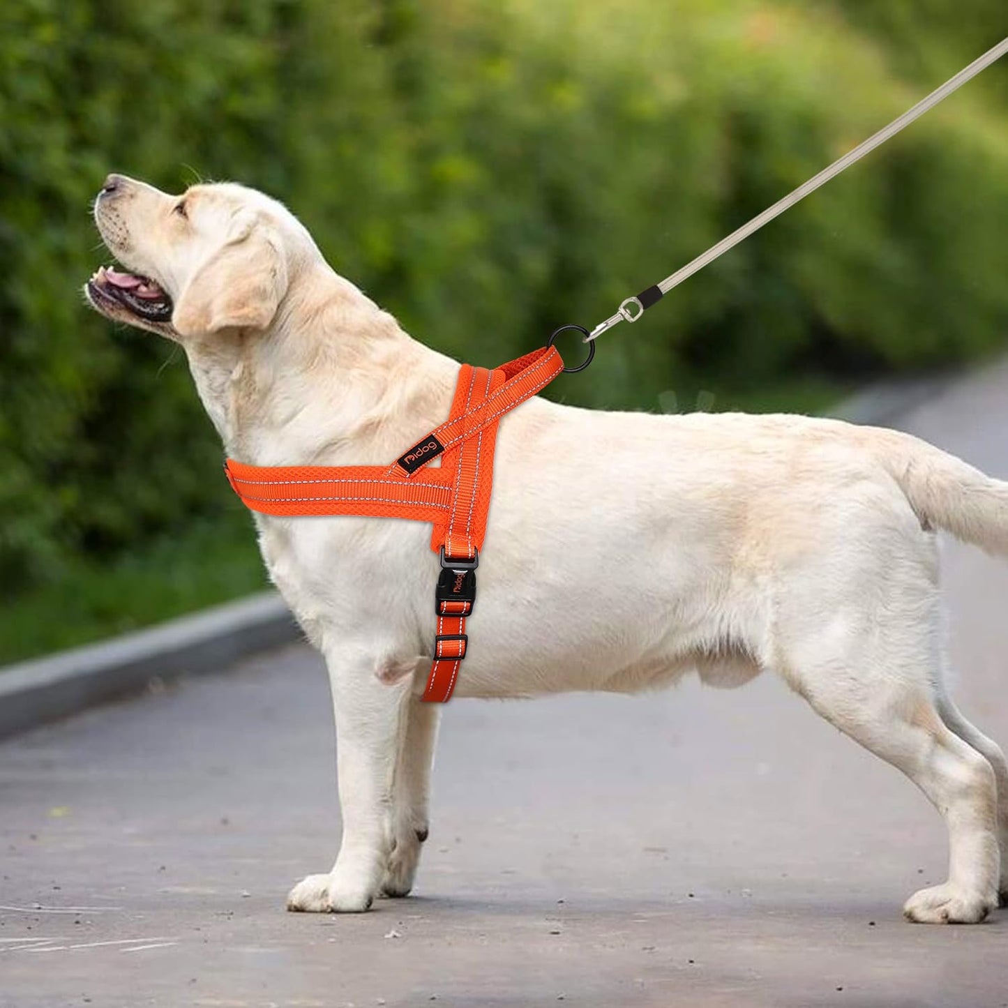 Didog No Pull Dog Harness with Soft Mesh Padded,Reflective & Quick Fit Light Weight Dog Strap Vest Harness,Easy for Walking Training (S:Chest 18-22", Orange)
