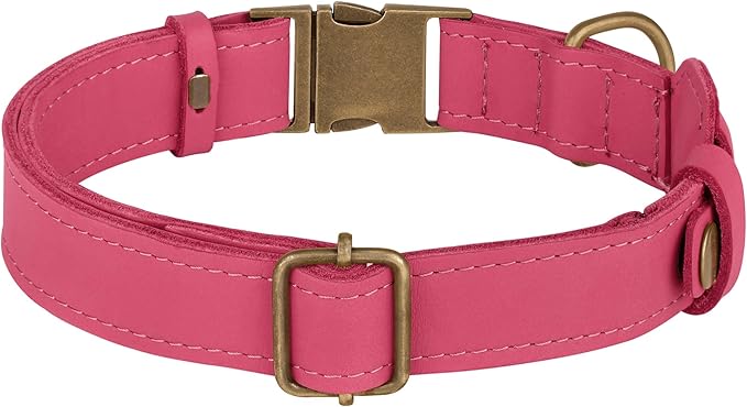 AirTag Dog Collar - Genuine Leather Dog Collar with Apple AirTag Holder and Metal Buckle - Smart GPS Tracking Pet Collars (Pink, XL, 20"-25" Neck Fit)