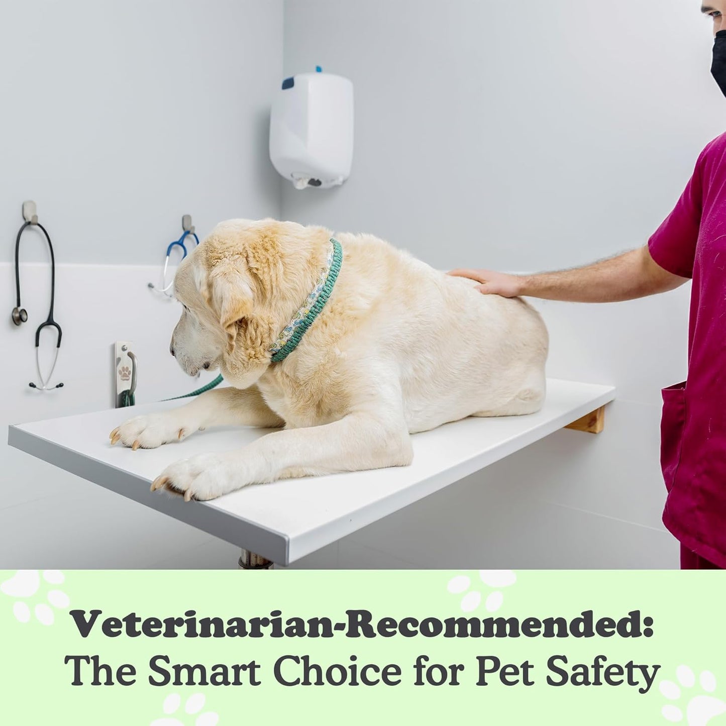 Canine Hitch- Secure Dog Leash Parking Mounted Indoor – Outdoor Wall Hook - Tie Out Stainless Steel Practical Lead Management for Home & Business, Slim Compact 6 Pack