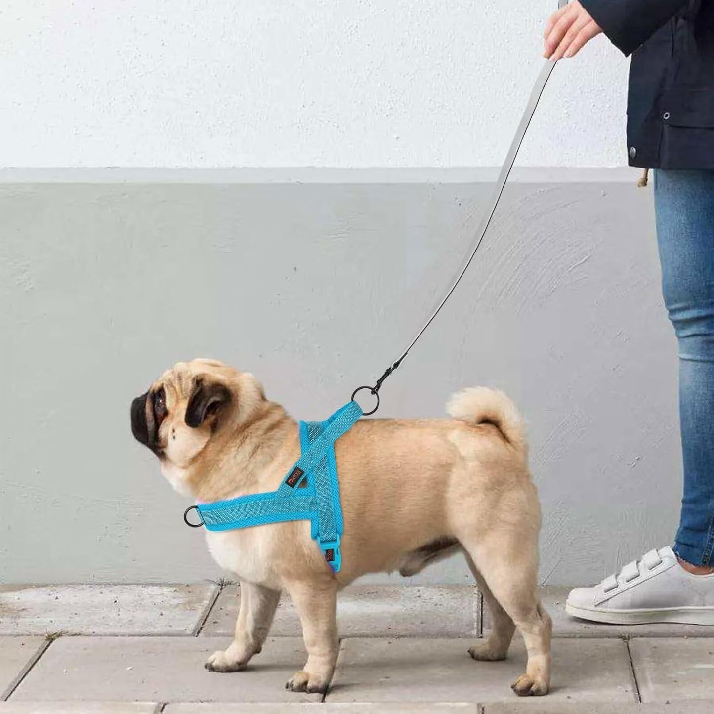 Didog No Pull Dog Harness with Breathable Mesh Padded, Full Reflective & Quick Fit Adjustable Vest Harness, Easy for Training Walking for Small & Medium and Large Dogs (Blue, S:Chest 18-22") - Pawvie