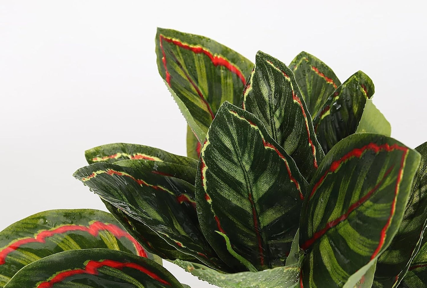 Reptile Terrarium Plants, Bearded Dragon Tank Decor Accessories For Ball Python Leopard Gecko Tree Frog Tarantula Lizard Corn Snake Tortoise Chameleon Crested Gecko - Fake Goeppertia Red Edge