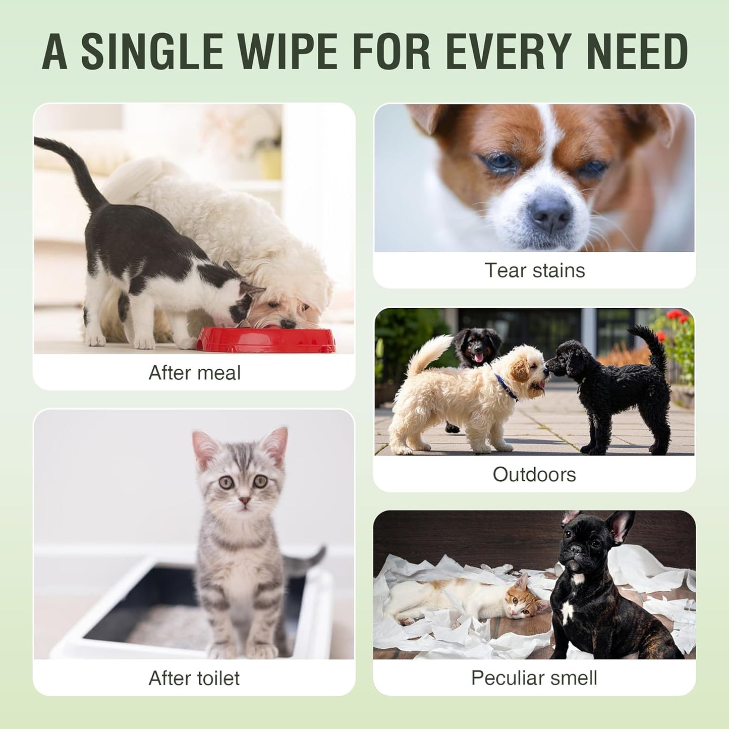 Pet Wipes -Cleaning and Grooming for All Pets, Alcohol-Free Portable Pack, Gentle for Face, Body, Paws and Butt-Thick Nonwoven Fabric-80 Count