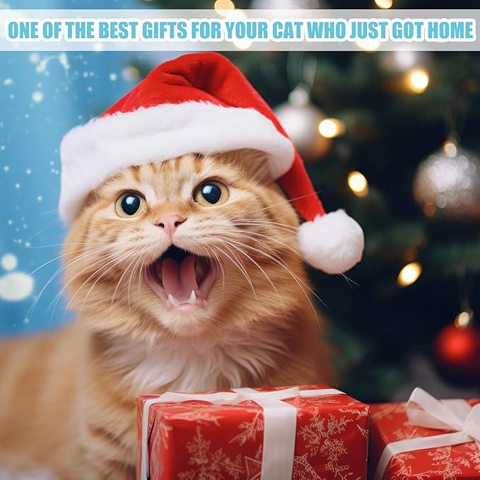 40 Pcs Kitten Starter Kit for Indoor Cats Include Litter Box, Carrier, Cat Bed, Climbing Post, Scratch Pad, Hammock, Feed Bowls, Mat, Collars, Nail File and More for Kitten Supplies Welcome Gift(Blue)