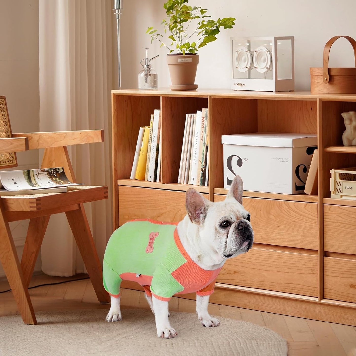 TONY HOBY Dog Pajamas, Male Dog Pajamas Thermal Jumpsuit, Fashion Clashing Color Pet Clothes for Small Medium Dogs (Brown&Orange, Boy, XL)