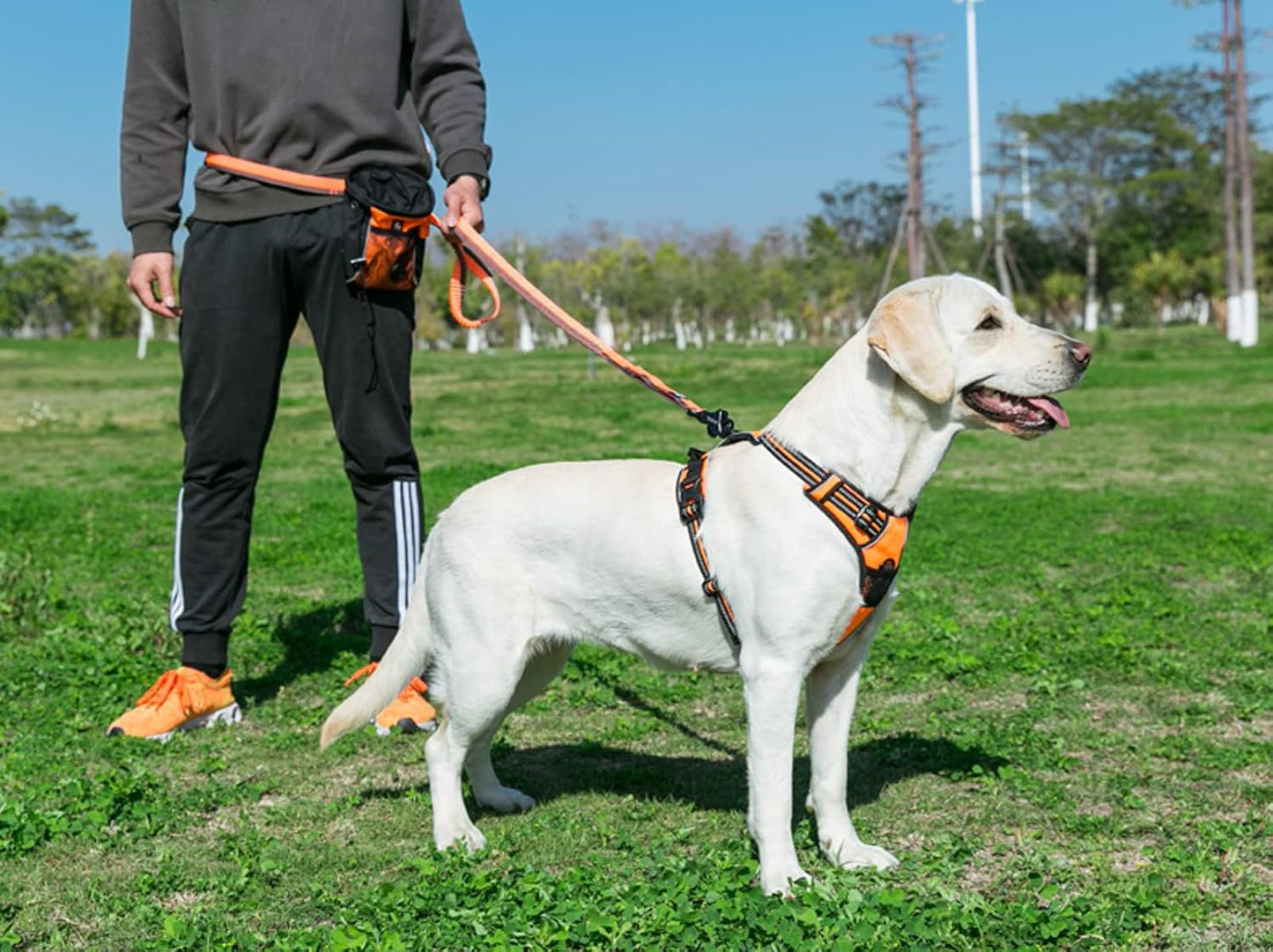 TRUE LOVE Truelove Adjustable No-Pull Dog Harness Reflective Pup Vest Harnesses Comfortable Control Brilliant Colors TLH5651(Orange,M)