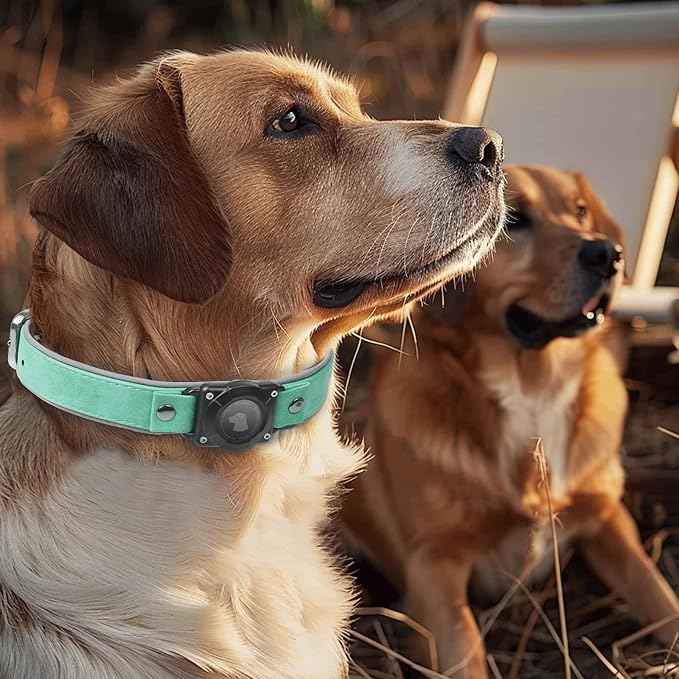 Leather AirTag Dog Collar, Waterproof Dog Collar with Air Tag Holder, Compatible with Apple Air Tag, Reflective, Durable, Comfortable Padded GPS Dogs Collars (Teal, M)