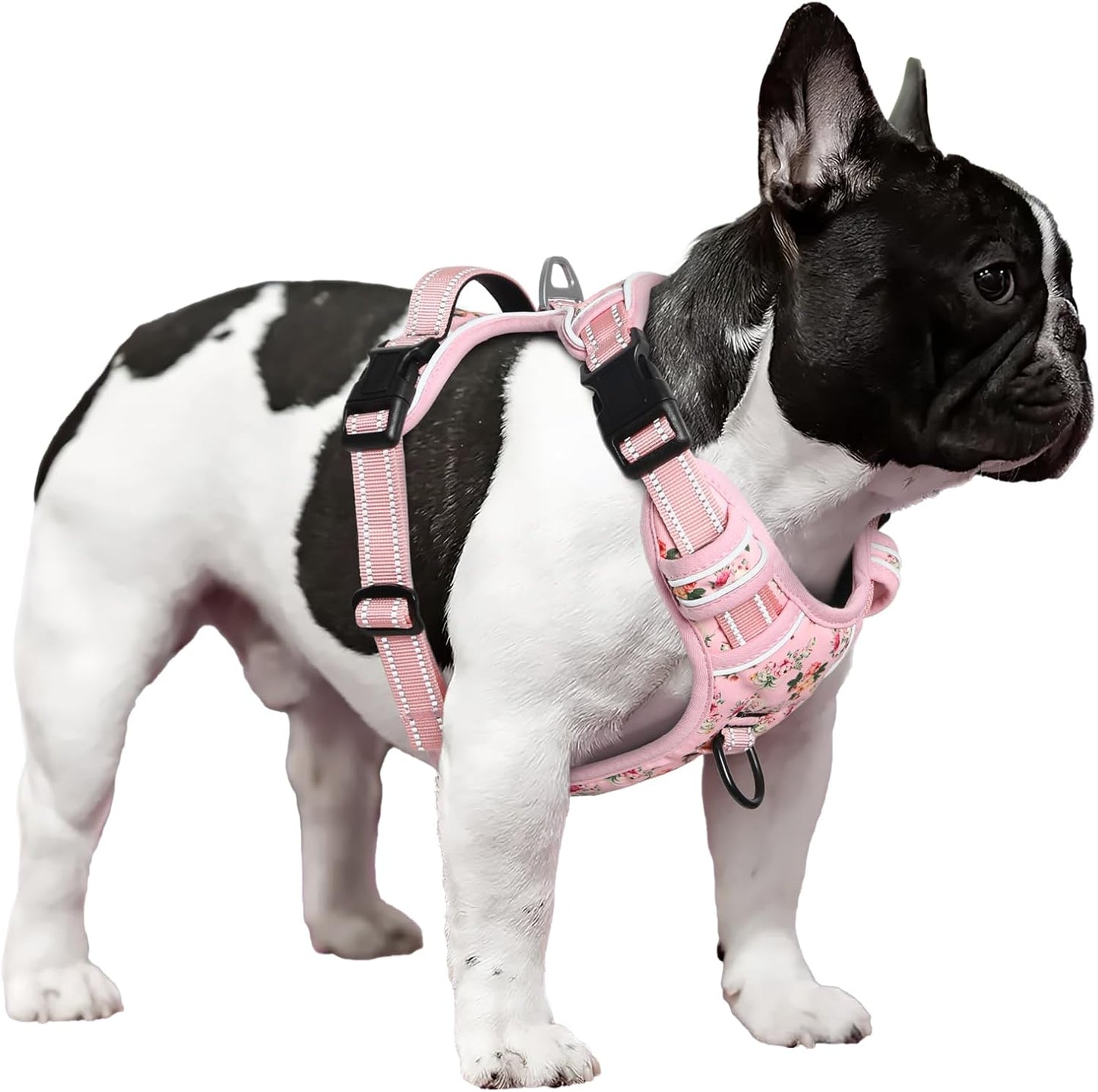 Timos No Pull Dog Harness,NO Need Go Over Dogs Head 3 Snap Buckles Reflective Oxford No Choke Harness with Front & Back 2 Metal Leash Clips Soft Padded for Small Medium Large Dogs Pink S