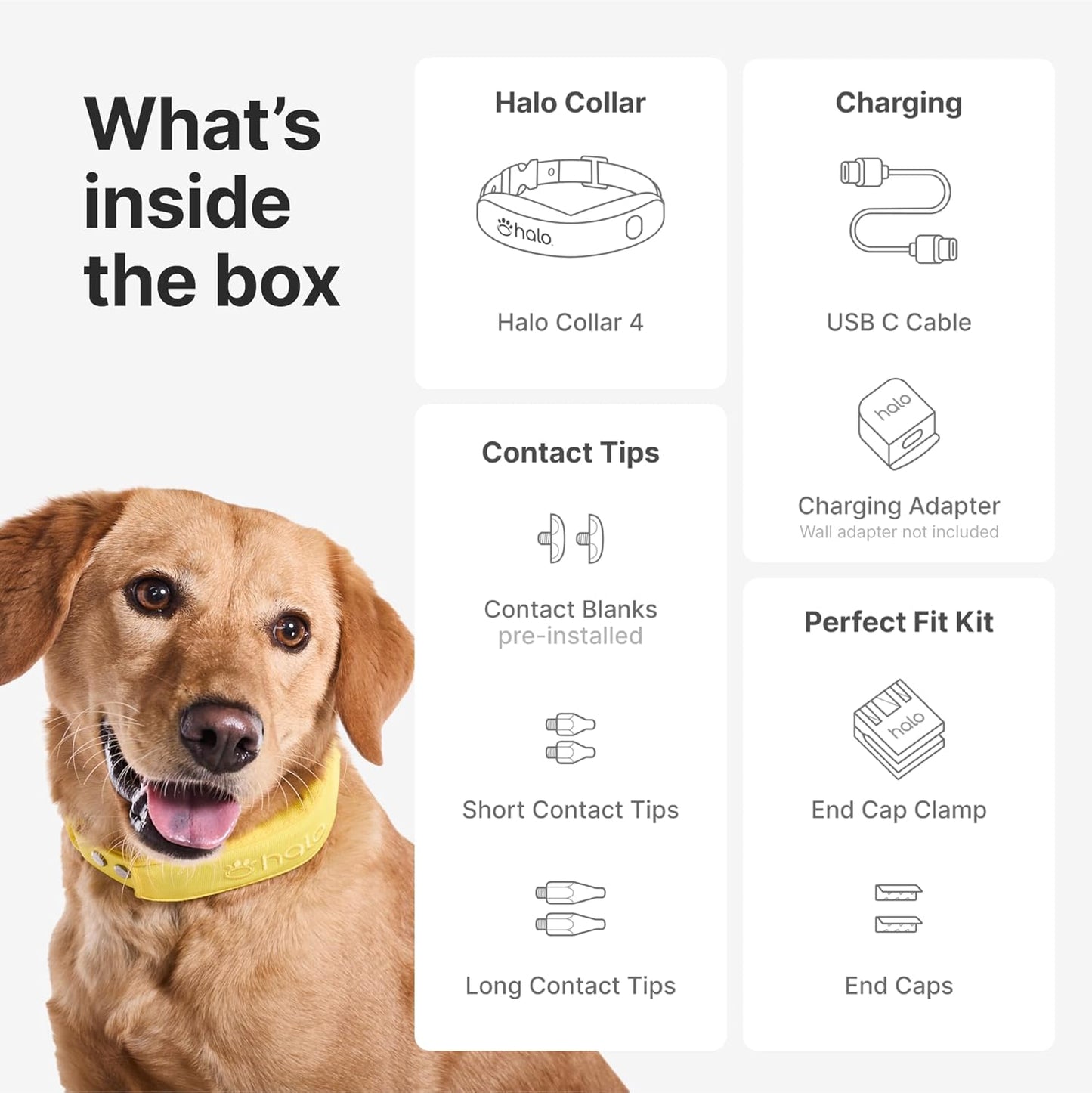 Halo Collar 4, All New GPS Wireless Dog Fence & Dog Training Collar with GPS Tracker, Subscription Required, Waterproof, One Size, Midnight - Pawvie