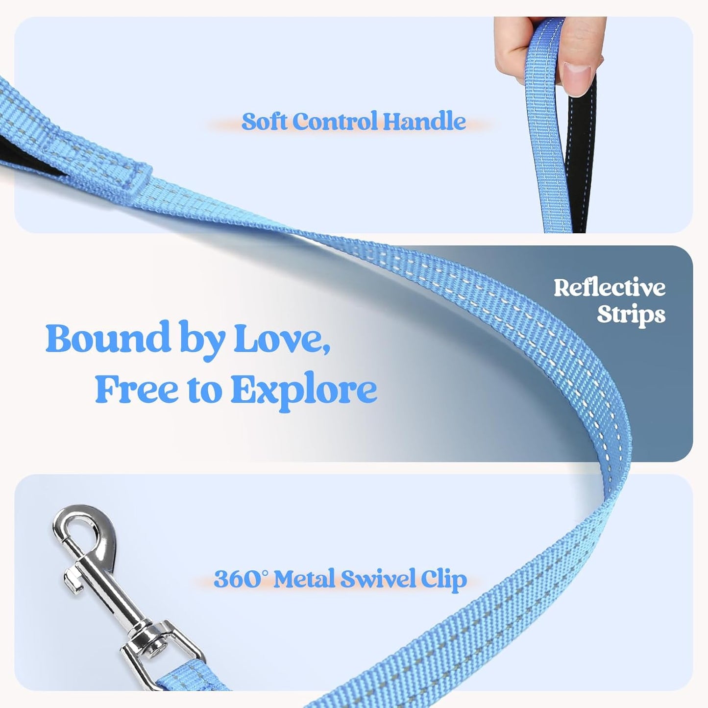 rabbitgoo Dog Harness Small Sized and Leash Set, Step in Soft Light Puppy Vest, Breathable Mesh Pet Harness, Reflective for Safe Easy Walking, Blue & Orange XS