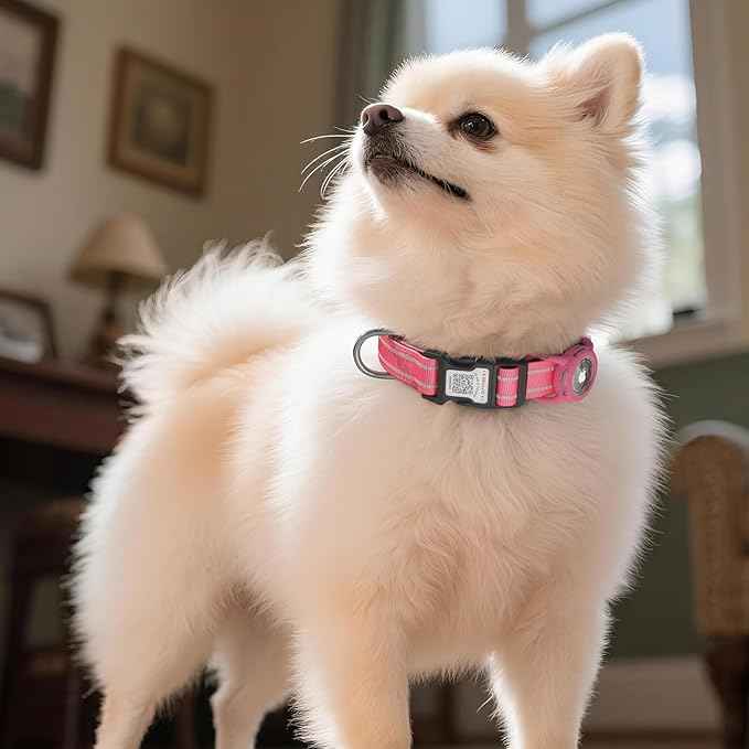 Airtag Dog Collar with QR Code, Reflective Dog Collar with Airtag Holder, Soft Padded & Safety Locking Buckle Adjustable Puppy Collar