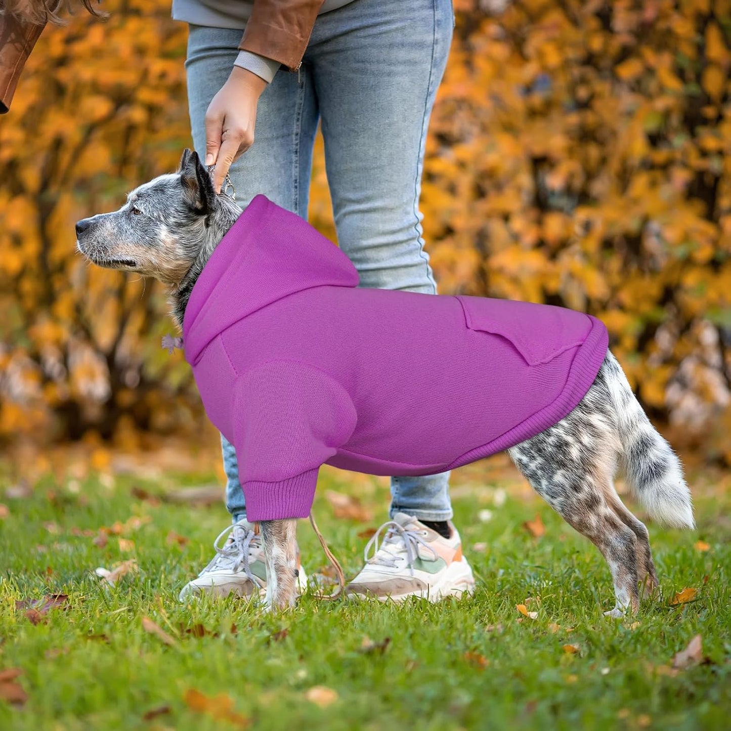 Dog Hoodie Dog Sweaters for Large Dogs Pet Sweater Solid Soft Brushed Fleece Pet Clothes Hoodie Sweatshirt with Pocket(Purple-XXL)