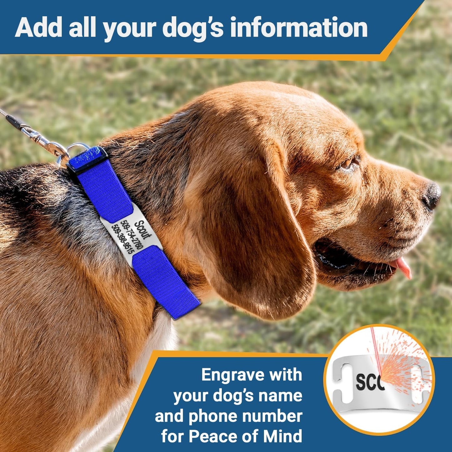 GoTags Reflective Personalized Dog Collar with Nameplate, Adjustable Dog Collar with Custom Engraved Steel Slide On Pet ID Tag, Silent, No Noise Dog Tag for Large Medium or Small (Black, Medium)