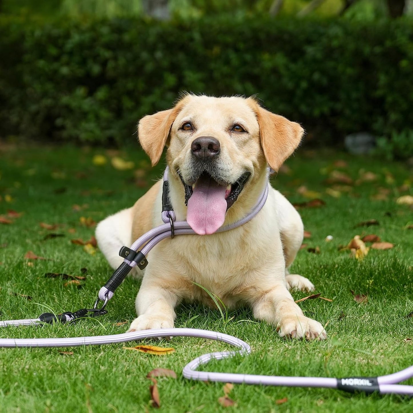 Rope Dog Leash, 6 Foot Heavy Duty Dog Leash with Aviation Aluminum Auto Locking Carabiner, Strong Nylon Pet Lead for Small, Medium, Large Dogs (Green, 6FT)