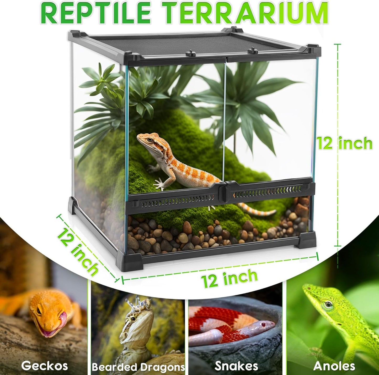 Mini Reptile Glass Terrarium 12"x12"x12" Durable Reptile Habitat Tank with Heat Resistant Aluminum Alloy Frame, Double Swinging Doors with no Jam by Sand and Other Debris - Pawvie