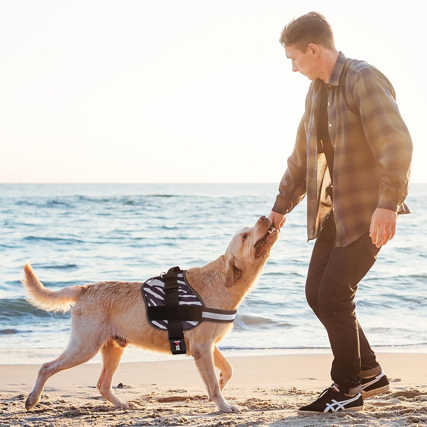 Dogline Dog Harness, Reflective No-Pull Adjustable Vest with Handle for Walking, Training, Breathable, No - Choke Harness for Small, Medium or Large Dogs Room for Patches Zebra Black/White XS 15"-18"