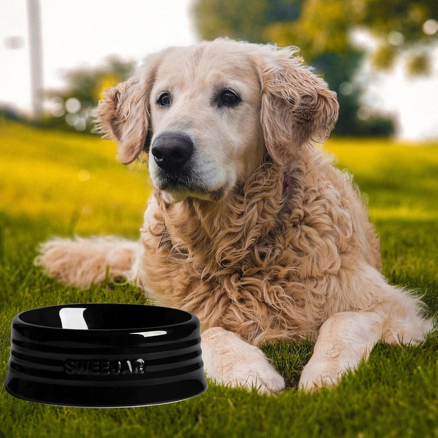 Sweejar Gradient Dog Bowl, Ceramic Dog Food Dish for Puppy and Kitten, Porcelain Pet Bowl for Food and Water 8 oz (Gradient Navy)
