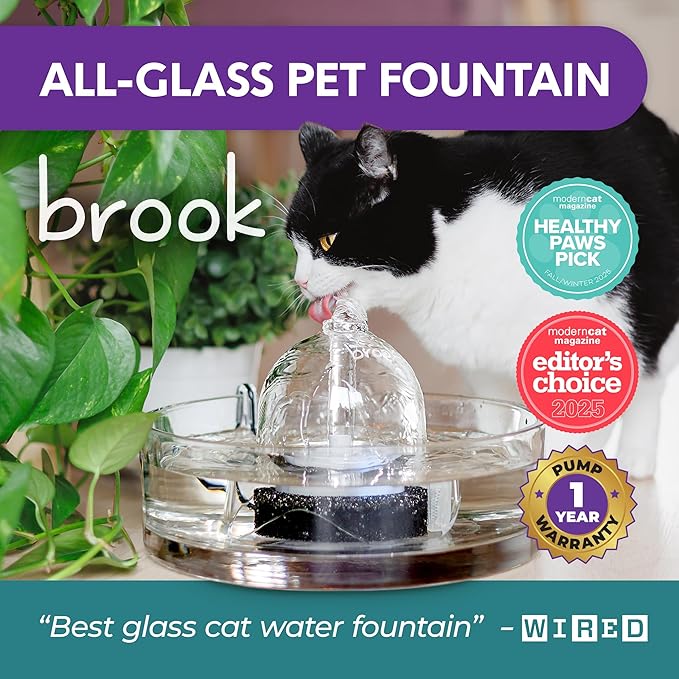 Brook Glass Pet Fountain (90oz/2.7L) β Cat & Dog Water Fountain β Glass Cat Fountain & Automatic Water Dispenser for Drinking