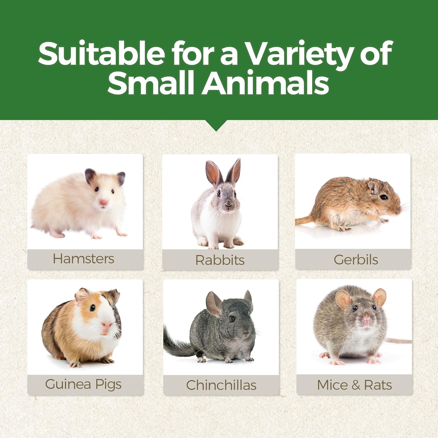 TEEWY 4PCS Guinea Pig Chew Toys, Prevent Teeth Overgrowth, Natural Vegetables and Timothy Grass, Hamster Chew Toys, Guinea Pig Toys, Chinchilla Toys, Grass Patch & Mushrooms