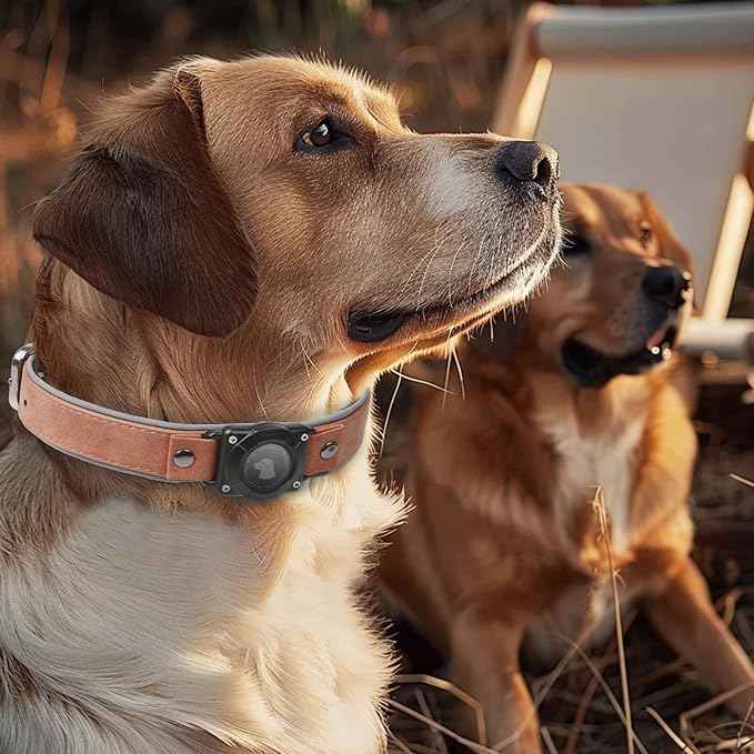 Leather AirTag Dog Collar, Waterproof Dog Collar with Air Tag Holder, Compatible with Apple Air Tag, Reflective, Durable, Comfortable Padded GPS Dogs Collars (MahoganyBrown, M)