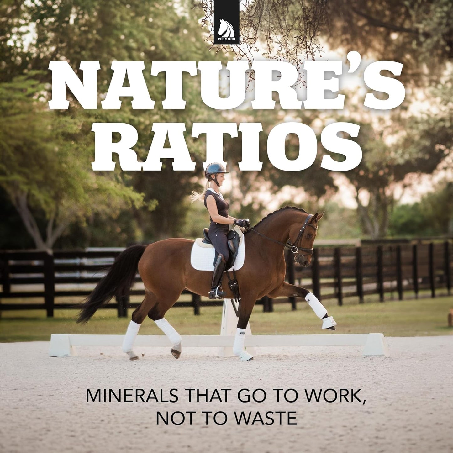 REDMOND Rock Crushed Loose Mineral Salt Electrolyte Supplement for Horses (25 LBS)