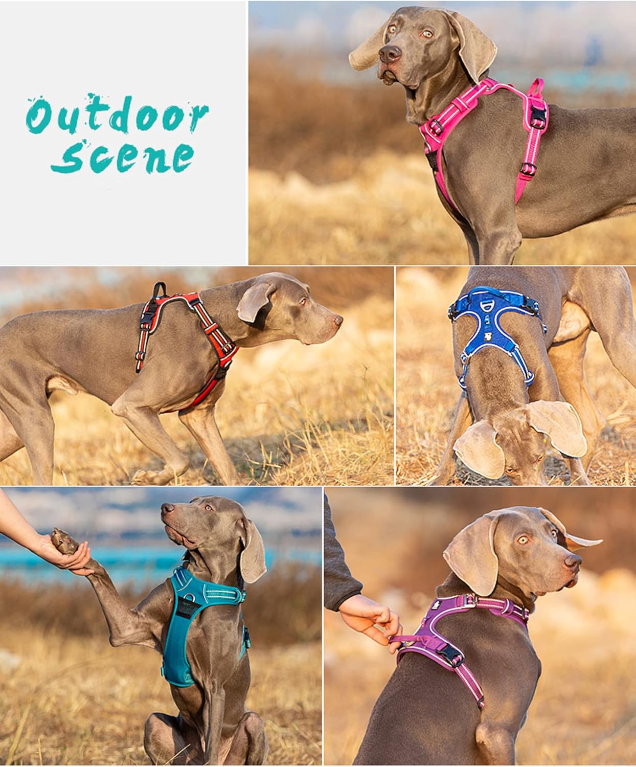 TRUE LOVE Truelove Dog Harness No Pull Nylon Reflective Pet Harness Adjustable Comfortable Control Step-in Brilliant Colors TLH56512