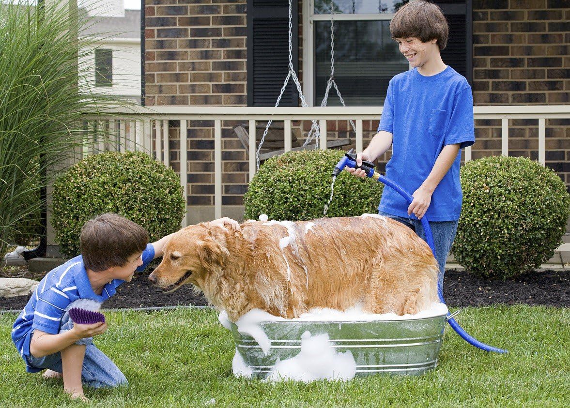 Hertzko Pet Bath & Massage Brush - Dog Bath Brush Scrubber for Shampooing and Massaging Dogs, Cats, Small Animals, Short/Long Hair - Rubber Curry Brush Dog - Removes Loose & Shed Fur (No Handle)