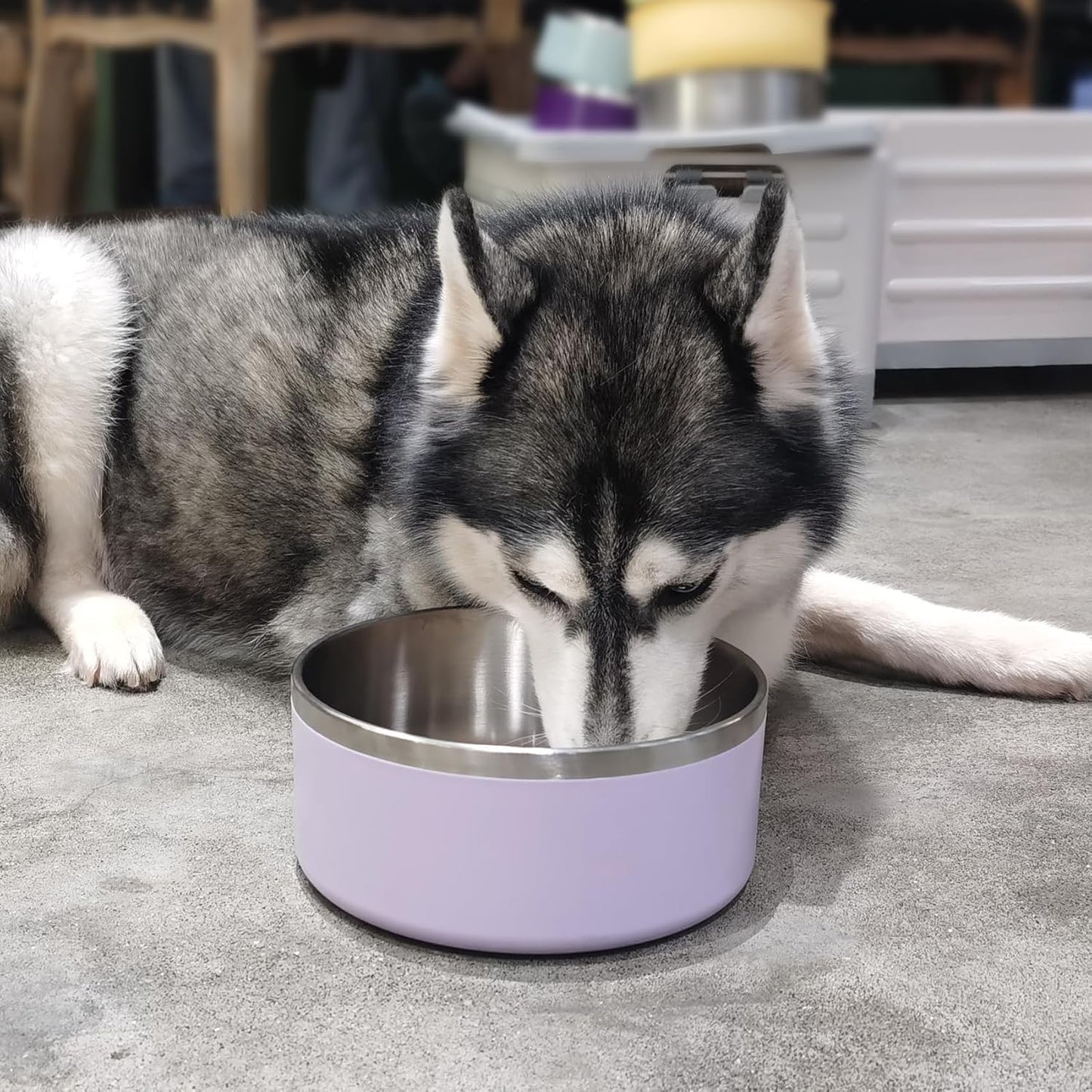 Stainless Steel Dog Bowls, Metal Dog Bowls, Water Bowl for Dogs, Dog Food Bowls, Pet Bowls for Dogs, Dog Dish for Large Dogs, Insulated Dog Bowl, Non Slip Dog Bowl,Easy Clean,40oz,LightPurple