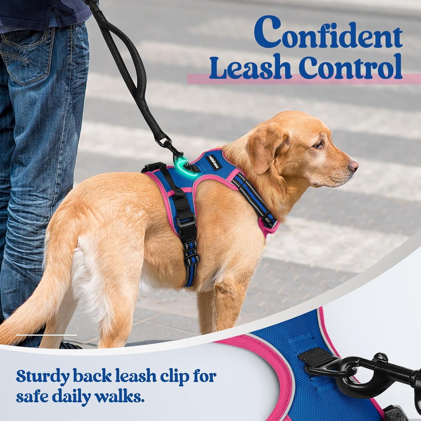 rabbitgoo Dog Harness No Pull with 2 Leash Clips, Adjustable Soft Padded, Reflective Oxford No Choke Pet Vest with Easy Control Handle for Large Dogs, Blue & Hot Pink, M