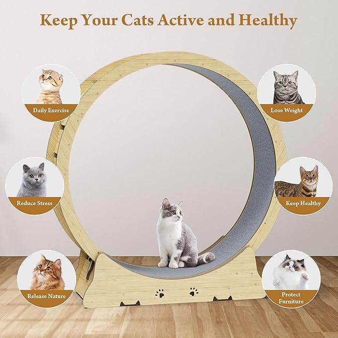 Large Cat Exercise Wheel, Quiet 48" Cat Treadmill for Indoor Cats, Running Wheel with Carpeted Runway & Stability Base, Ideal for Multiple Cats & Large Breeds for Fitness & Active Play
